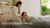 The Acuflow: Acupunctuur & Yoga